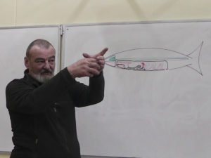 Андрей Квашенко