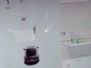 Датчик Tesla засек невидимого человека на кладбище