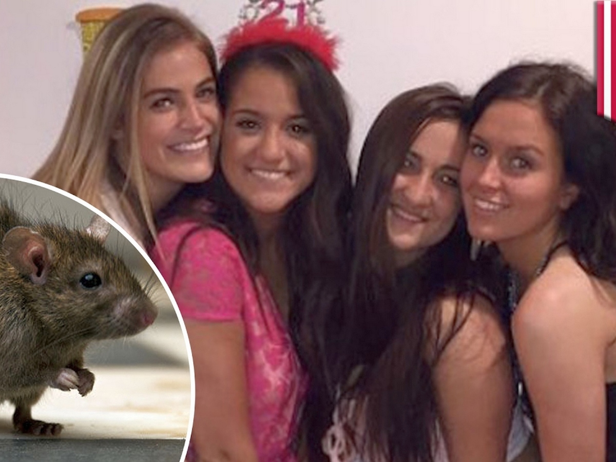 Девушки, изгоняющие крысу из дома, набирают популярность в Сети
