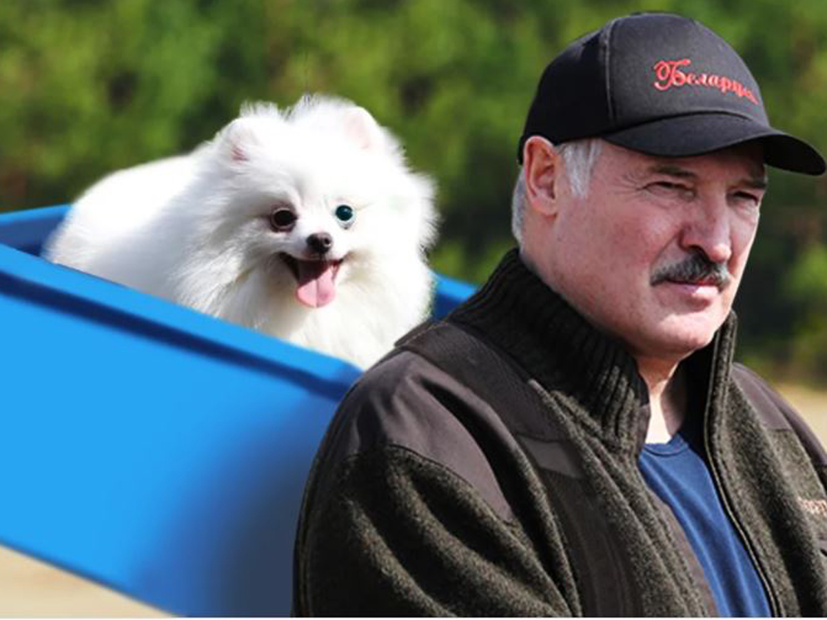 Политолог объяснил появления Лукашенко с собакой