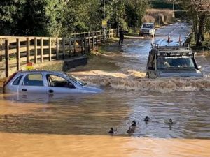 Jaguar собрал более 220 тыс. просмотров, нырнув в лужу вслед за утками