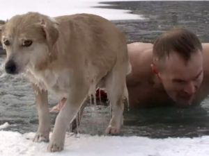 Журналист из Старого Оскола спас собаку из ледяной воды