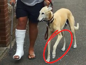 Собака заставила хозяина раскошелиться, спародировав его