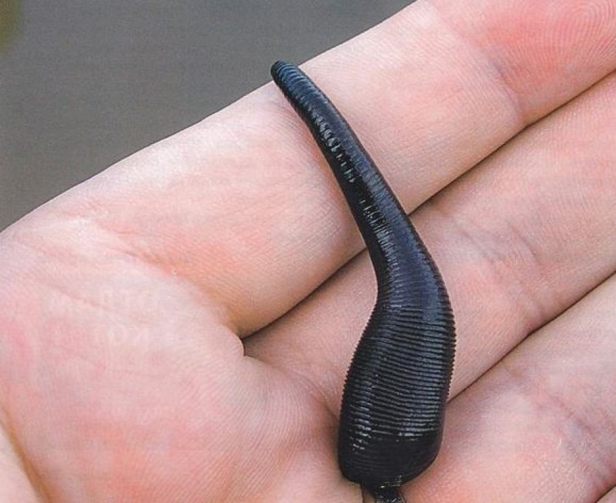 Выжившие: невероятные истории современных Робинзонов