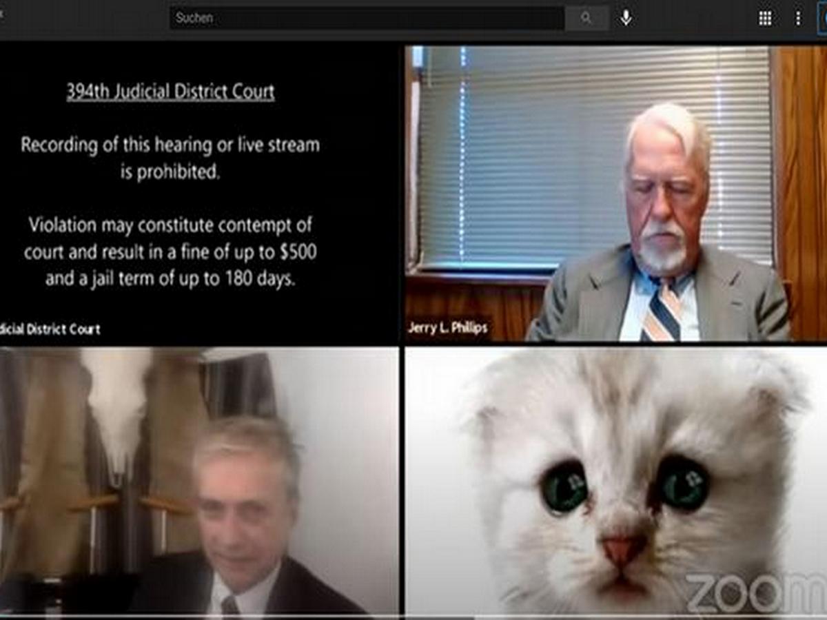 Видео с адвокатом, который появился на заседании суда в образе котенка, собрало 4,5 млн просмотров в YouTube