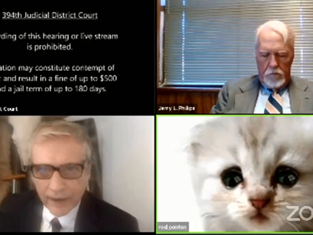 Адвокат появился на заседании суда онлайн в образе котенка