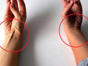 Видео о следах эволюции в теле человека собрало более 31 млн просмотров