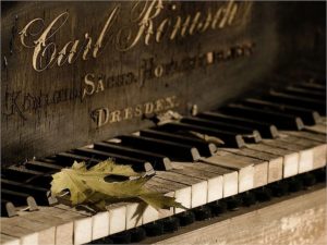 Мужчина сказочно разбогател, выкупив имущество своей покойной учительницы