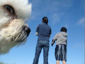 Жены и любовницы Берии: мифы и факты о личной жизни зловещего маршала