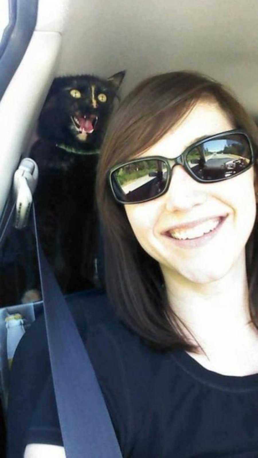 Самые смешные фотобомбы с участием животных