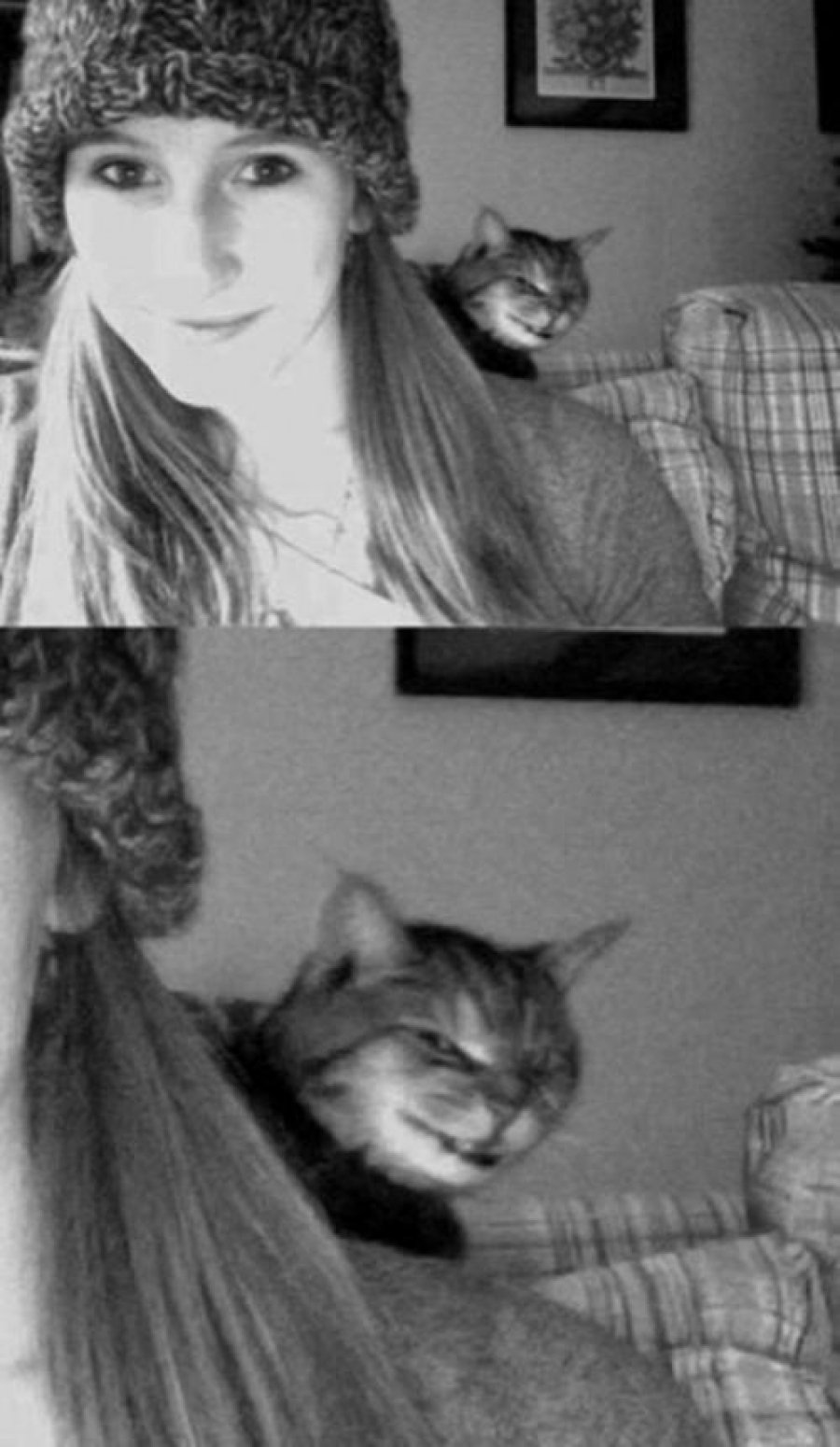 Самые смешные фотобомбы с участием животных