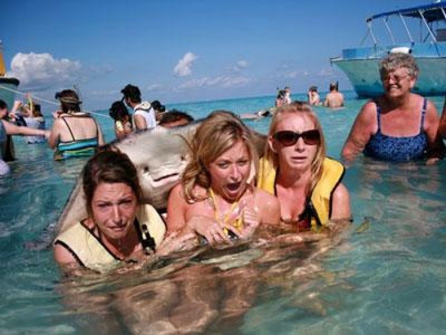 Самые смешные фотобомбы с участием животных