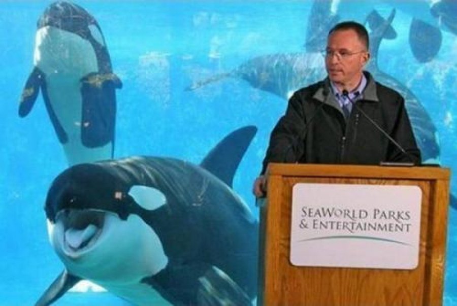 Самые смешные фотобомбы с участием животных