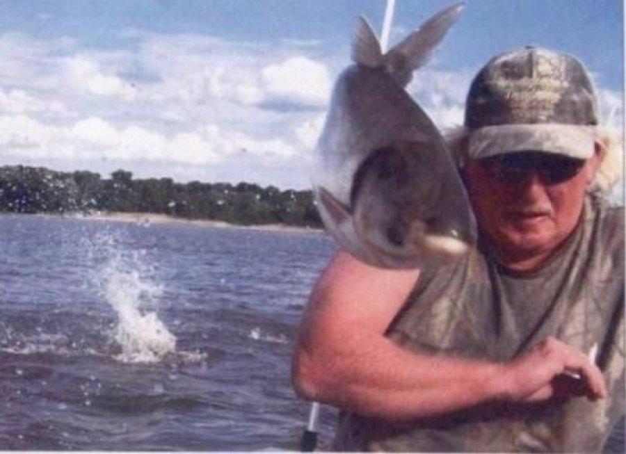 Самые смешные фотобомбы с участием животных