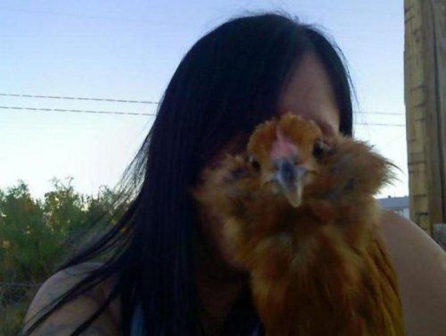 Самые смешные фотобомбы с участием животных