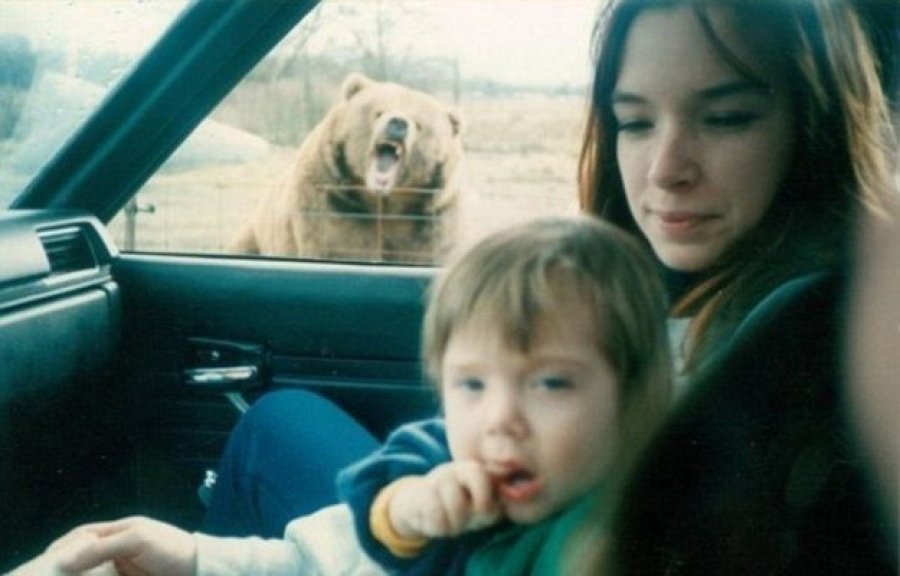 Самые смешные фотобомбы с участием животных