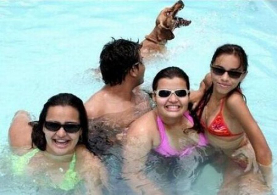 Самые смешные фотобомбы с участием животных