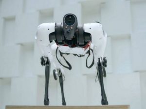 Гибридный робот на колесах собрал около 5 тысяч просмотров