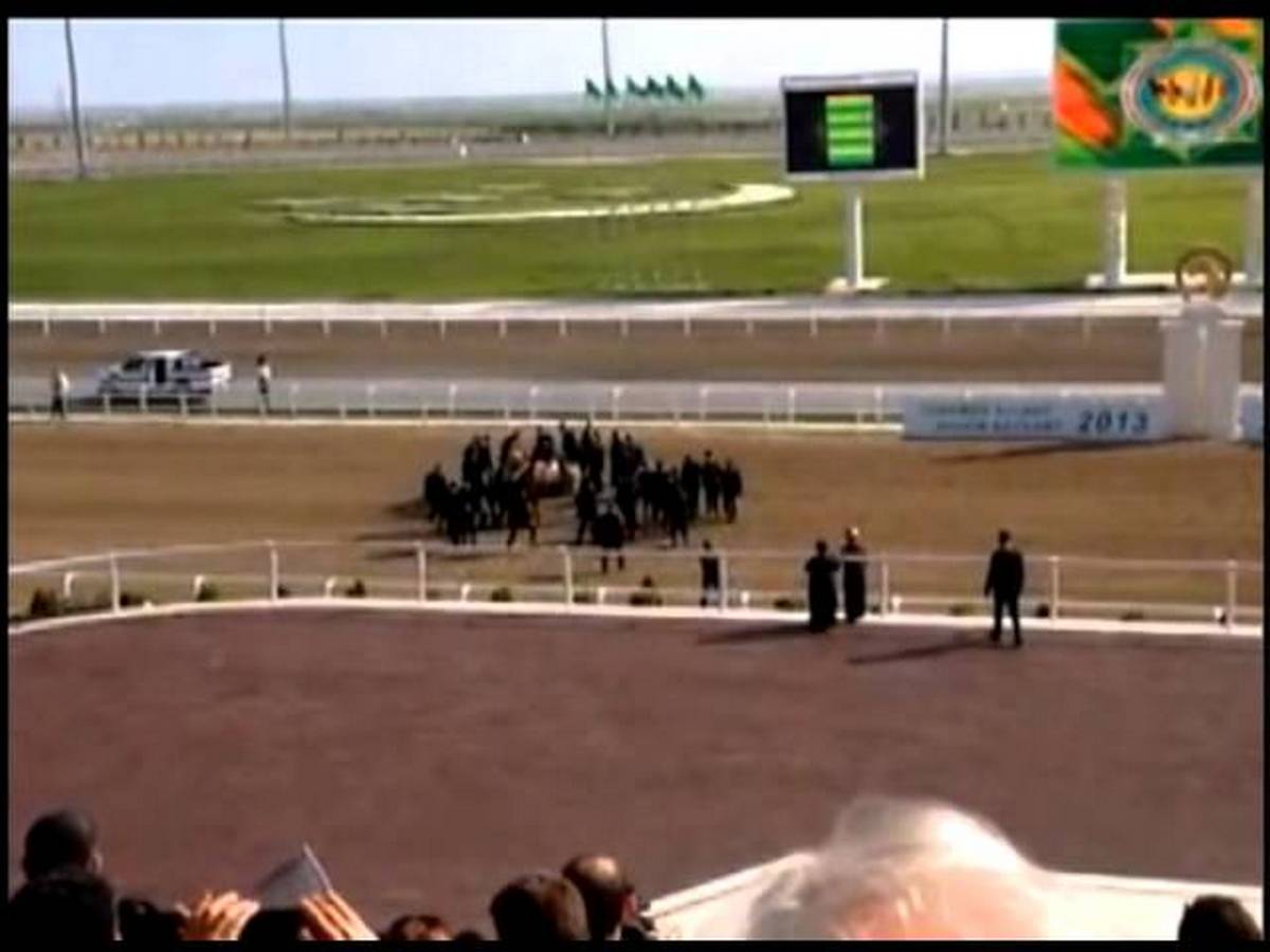 Видео падения с лошади президента Туркменистана собрало около 150 тыс. просмотров