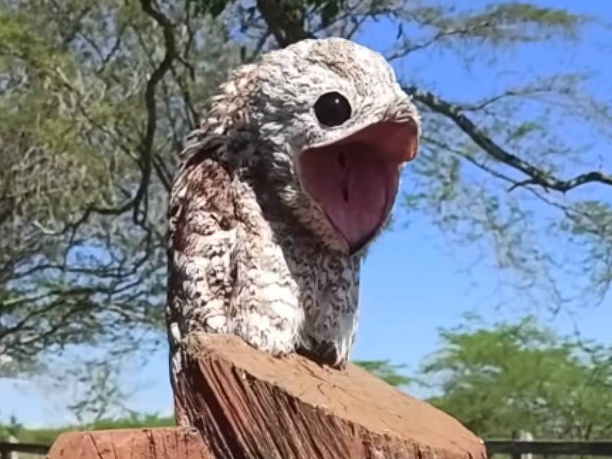 Интернет-пользователи обсуждают 