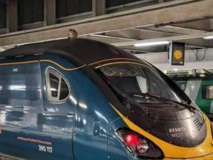 Отправление поезда задержали почти на 3 часа из-за кота на крыше