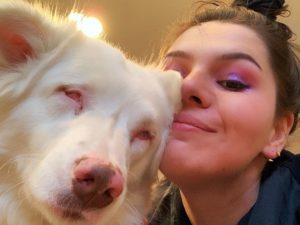 Видео встречи глухой и слепой собаки с хозяином после долгой разлуки завирусилось в Сети