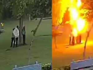 В Индии молния ударила в дерево и попала на видео, пострадали четыре человека