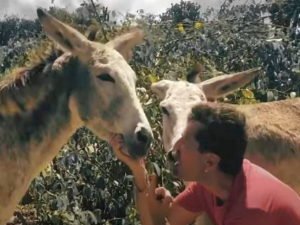 Новый клип группы «Ногу свело» собрал более 50 тысяч просмотров