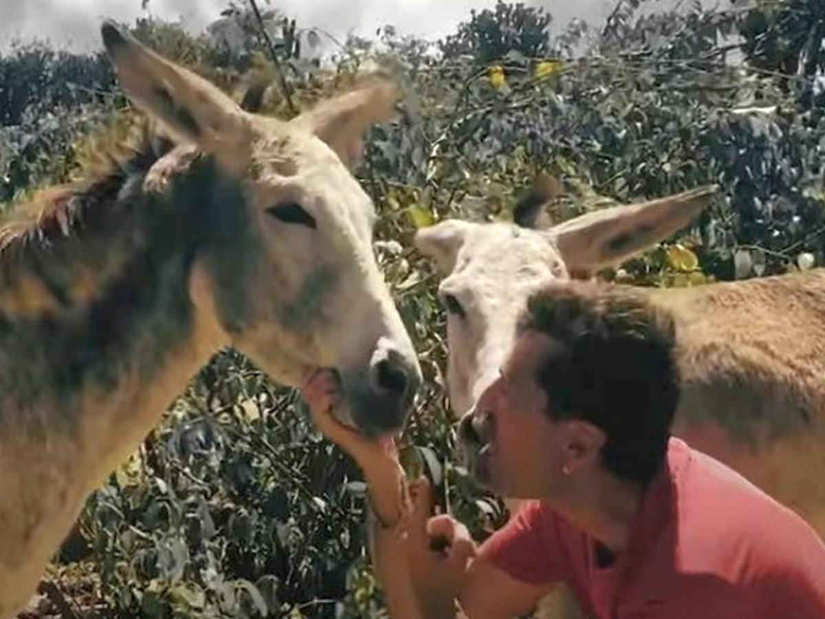 Новый клип группы «Ногу свело» собрал более 50 тысяч просмотров