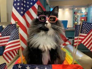 Кошка стала ассистентом окулиста и рассказывает детям о плюсах очков