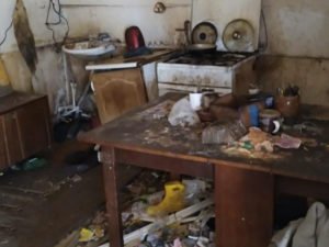 В Талдоме найдена девочка-маугли