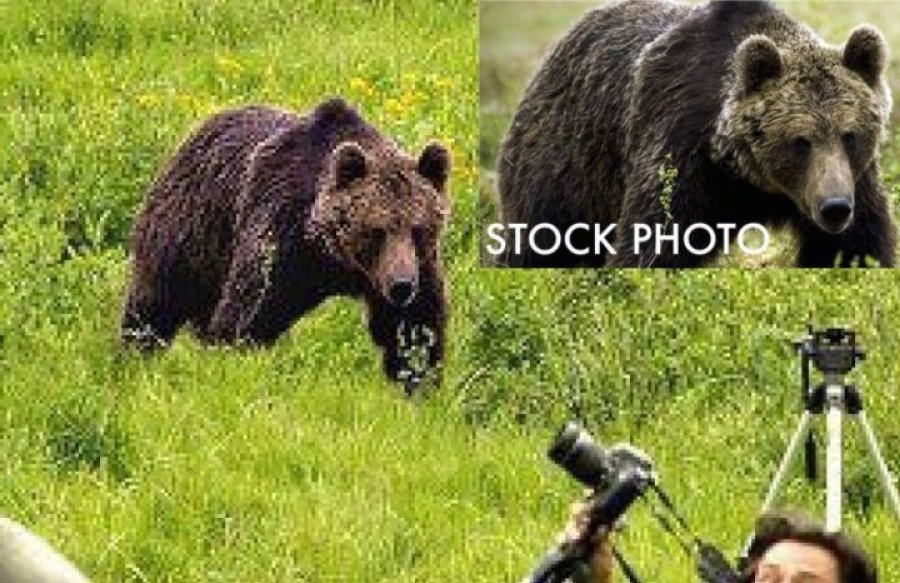 Самые известные фото, которые оказались фейками