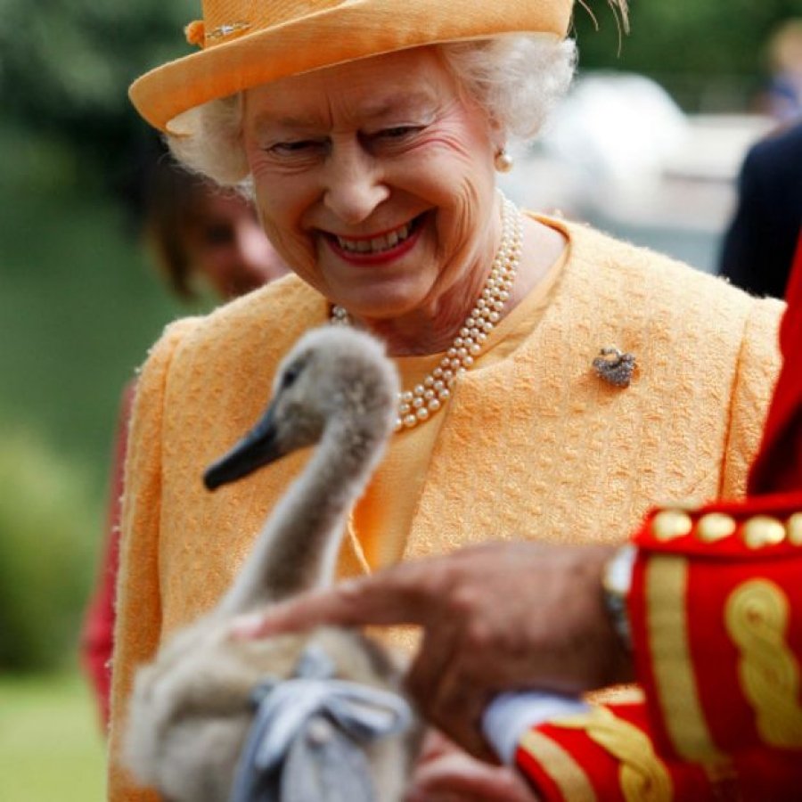 Странные привычки мировых политиков