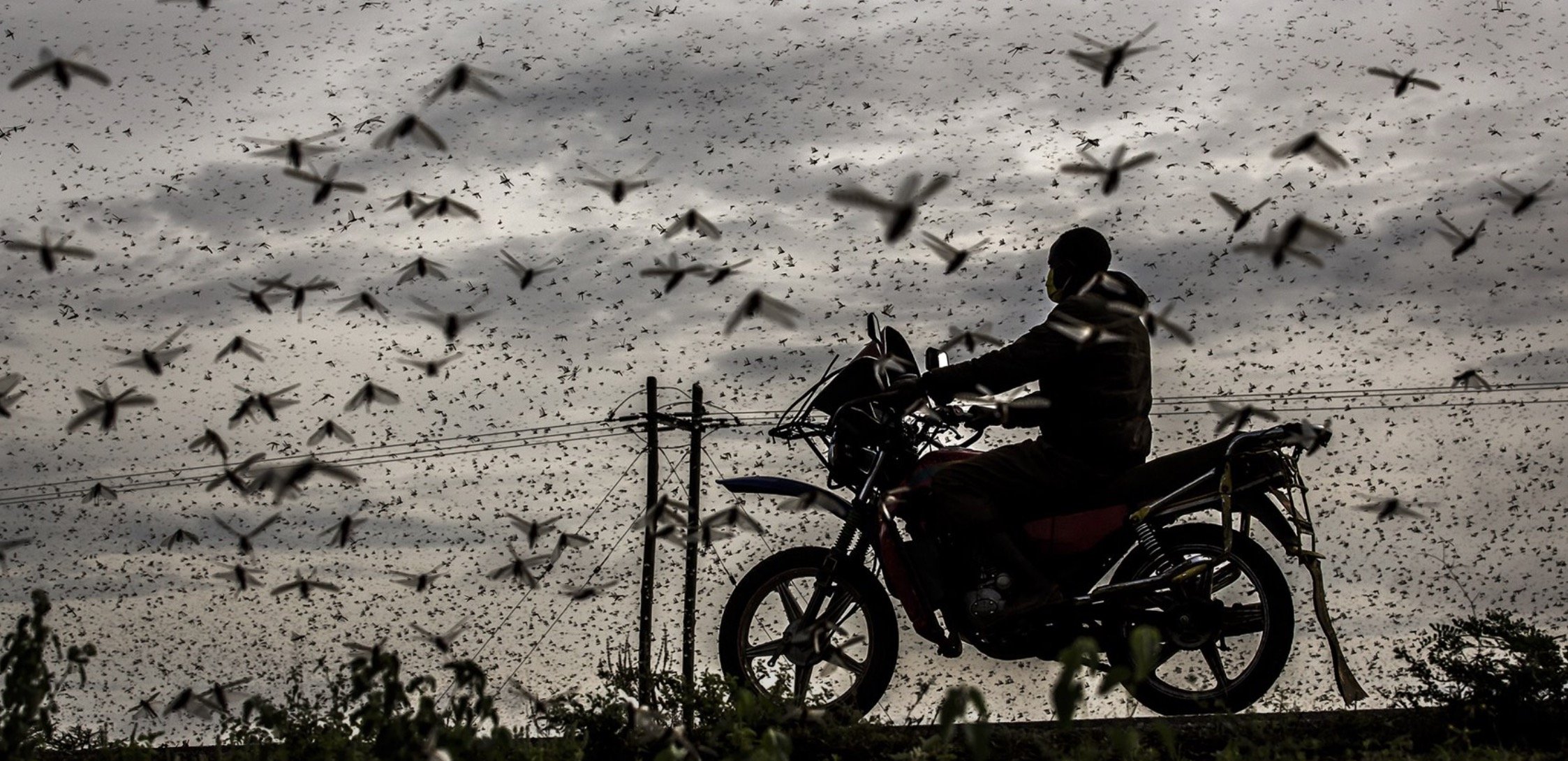 Лучшие фотографии World Press Photo