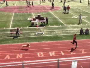 Собака приняла участие в соревнованиях по бегу