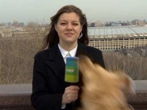 Лабрадор украл микрофон у корреспондента телеканала в прямом эфире