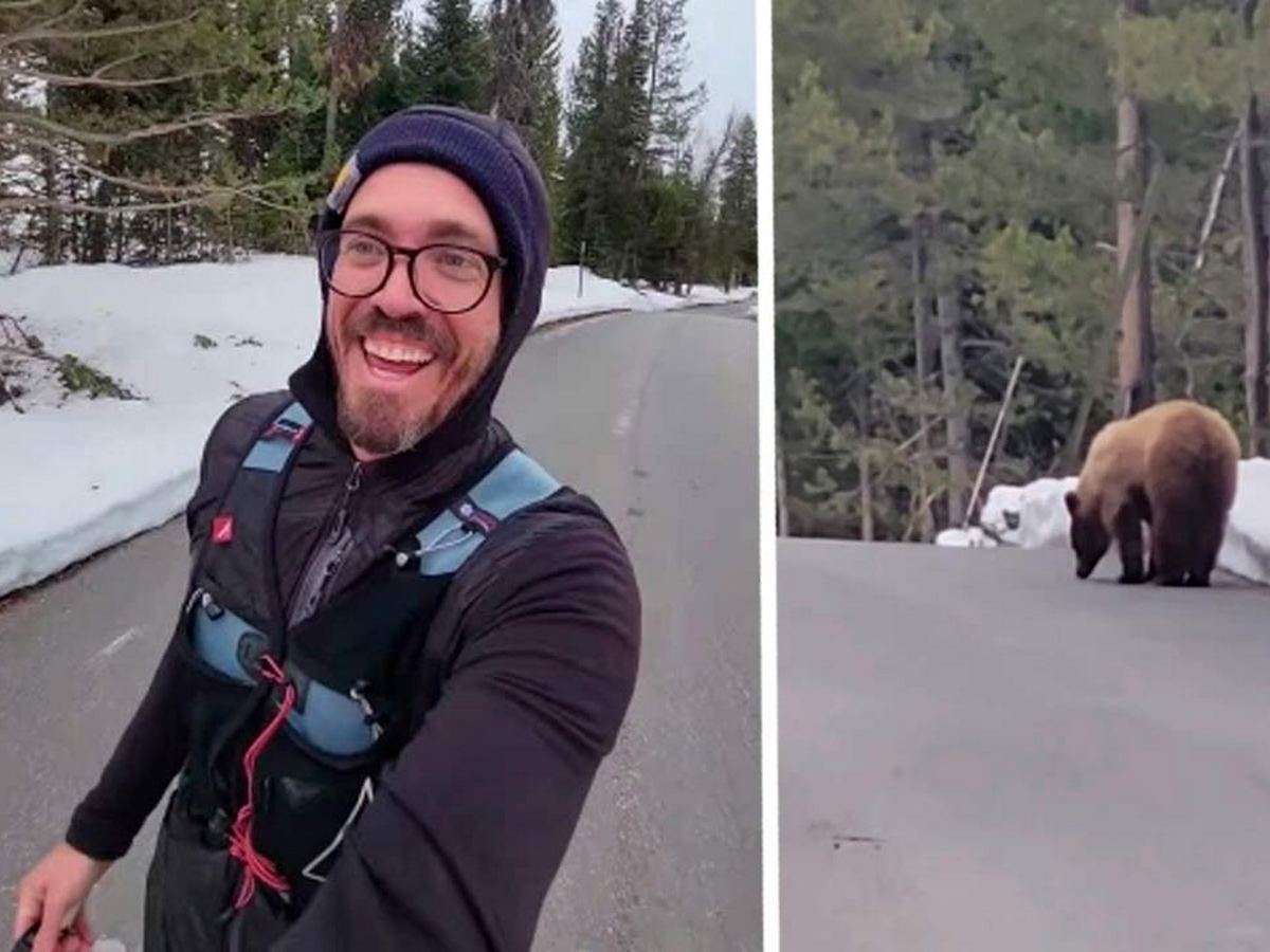 Американец встретил медведя на пробежке и уговорил его пообедать в другом месте
