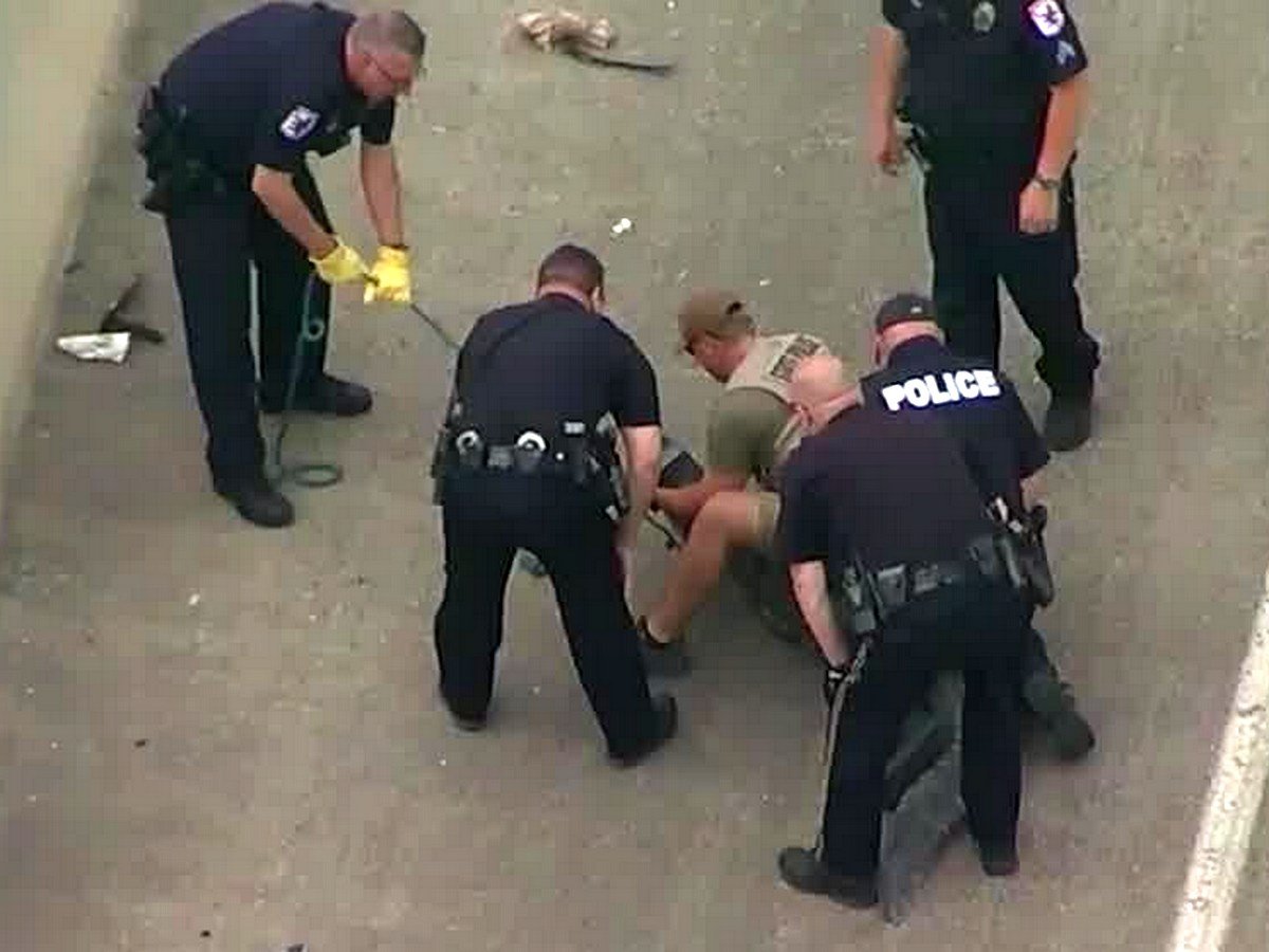 Огромный аллигатор заблокировал движение по мосту