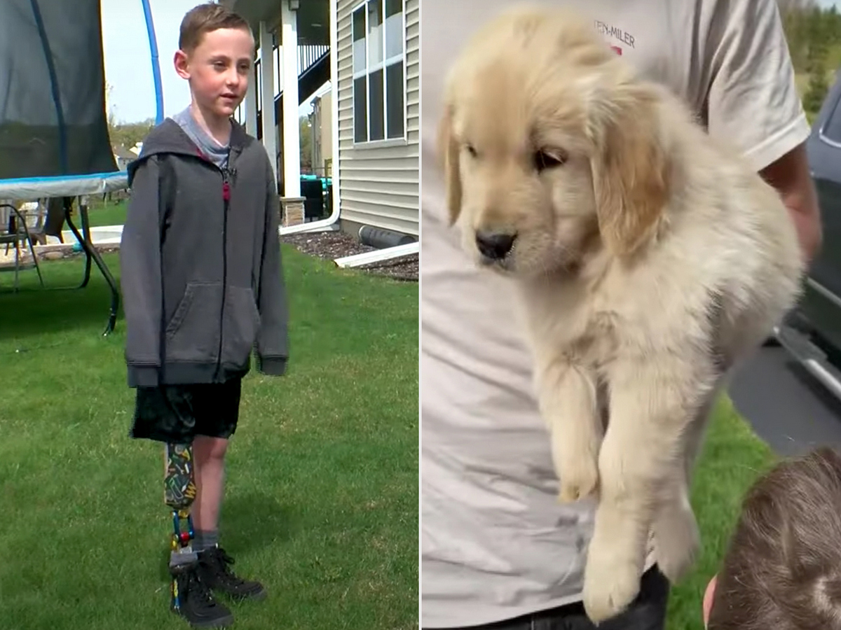 Мама вдохновила больного сына, подарив ему щенка с деформированной лапкой