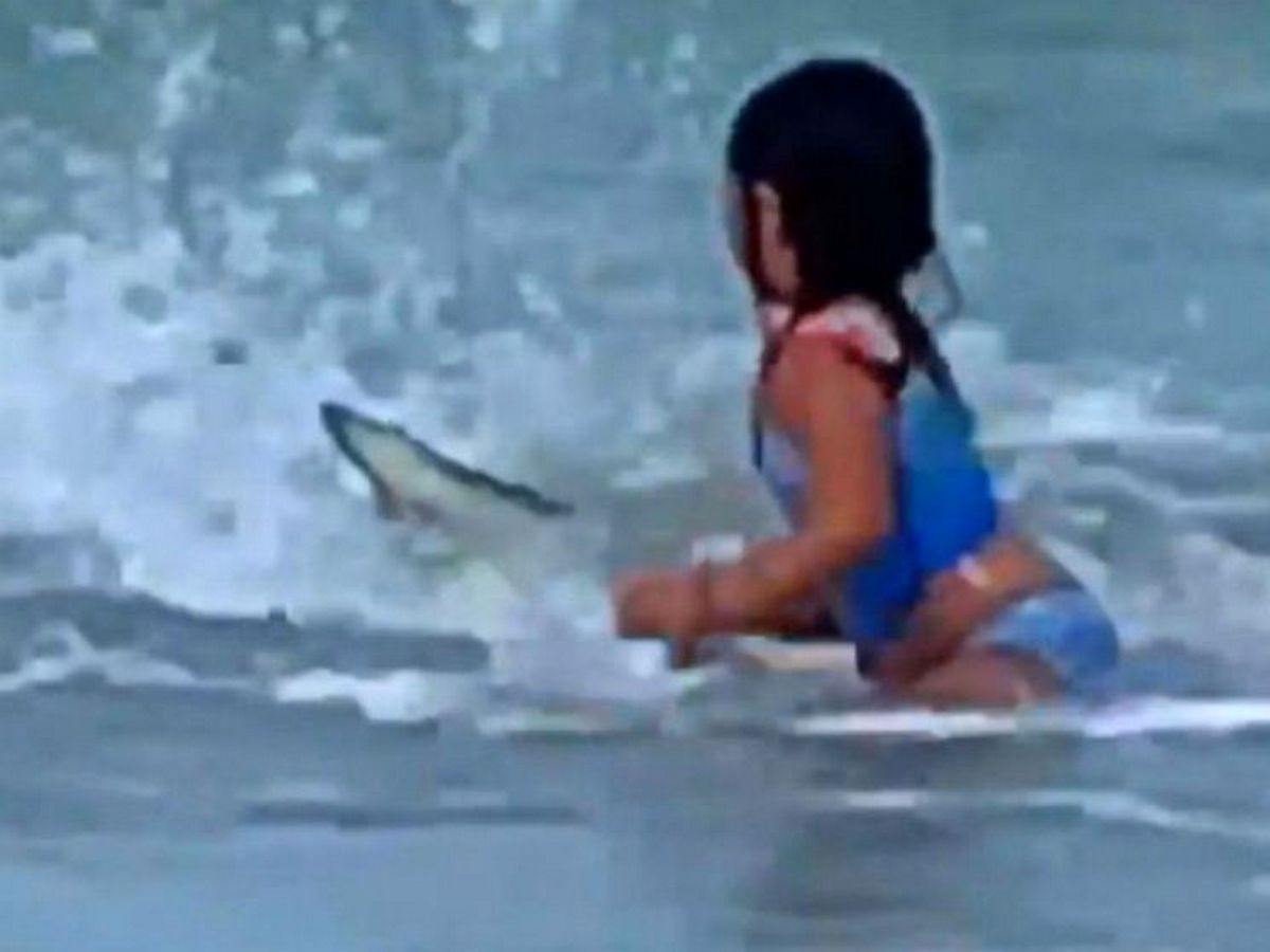 Shark Dangerously Close to Six Year Old Girl at Hawaii Beach