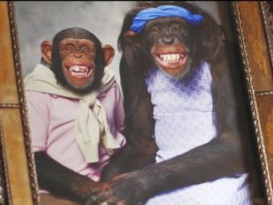 Клип группы Offspring собрал более 160 тыс. просмотров