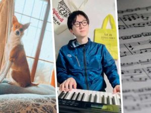 Собака по кличке Лило стала интернет-звездой