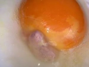 В Сети обсуждают неприятный сюрприз, оказавшийся внутри яйца