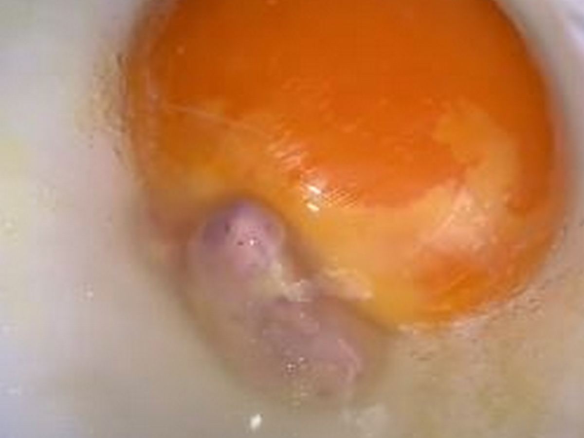 В Сети обсуждают неприятный сюрприз, оказавшийся внутри яйца
