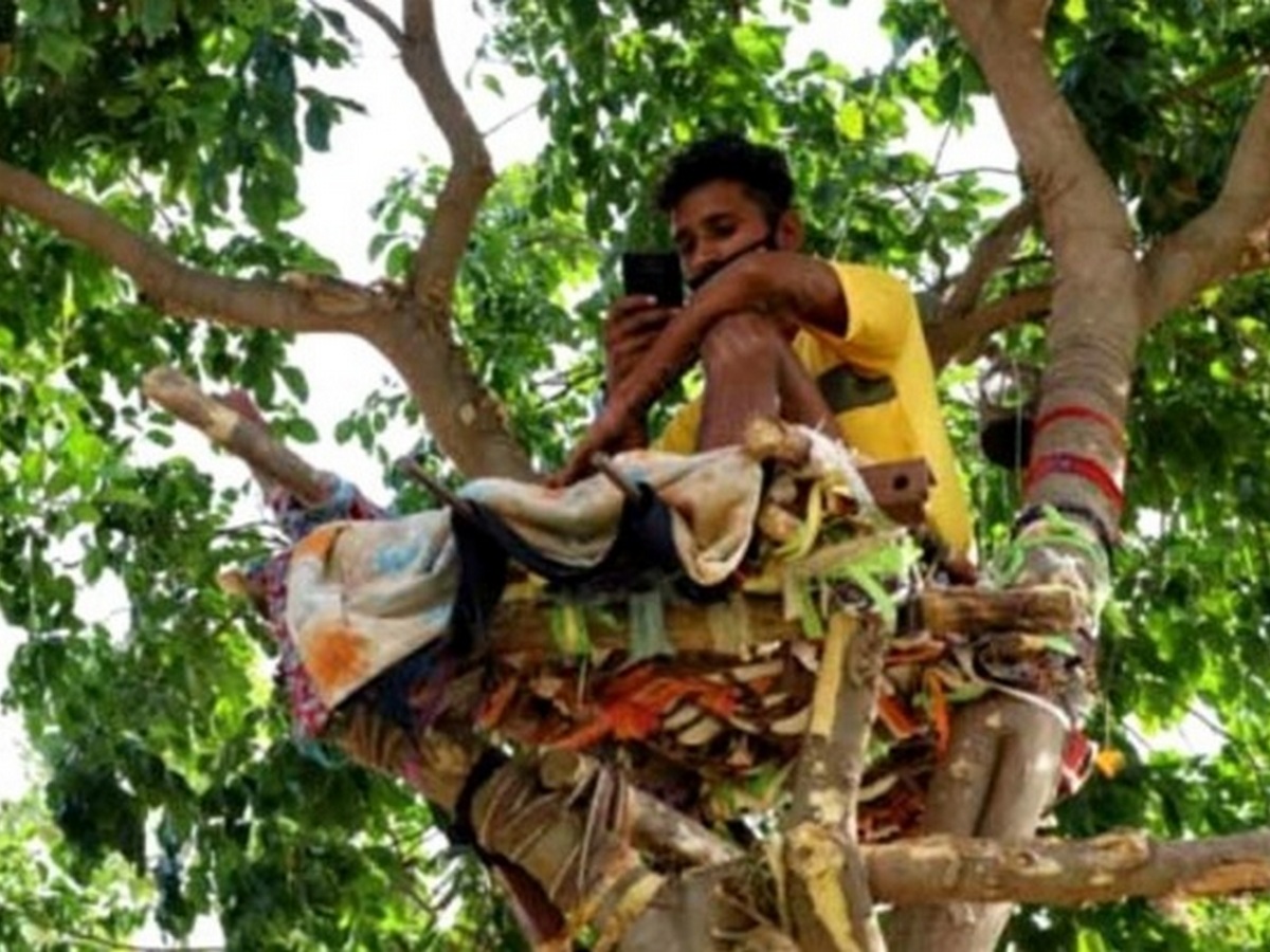 Студент 11 дней провел в изоляции на дереве, чтобы не заразить родных коронавирусом