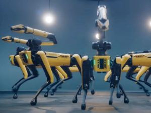 Танцующие роботы-собаки набирают популярность в Сети