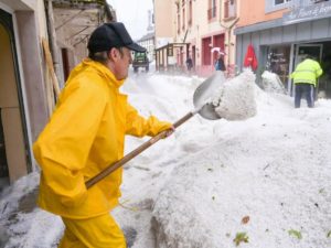 Муравьи украли посылку прямо от порога дома