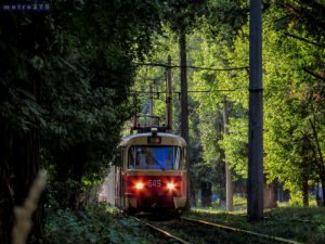 Девушка в купальнике затроллила кондуктора