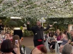 Маленький бизон самостоятельно преодолел гору, завоевав симпатию пользователей