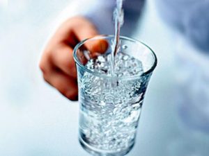 Попугай удивил интернет поперечным шпагатом